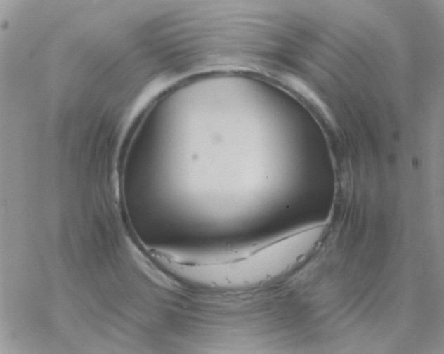 X0000077361372200611171912