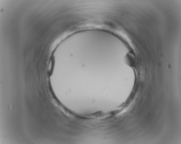 X0000077361373200611171912