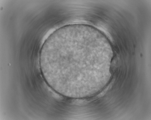 X0000077361374200611171912