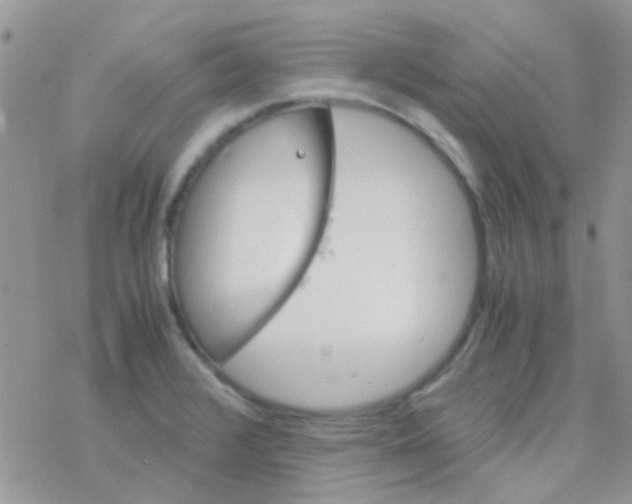 X0000077361376200611171912