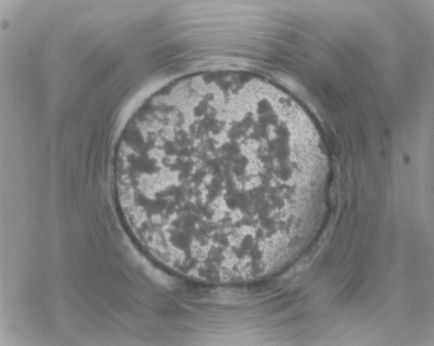 X0000077361379200611171912