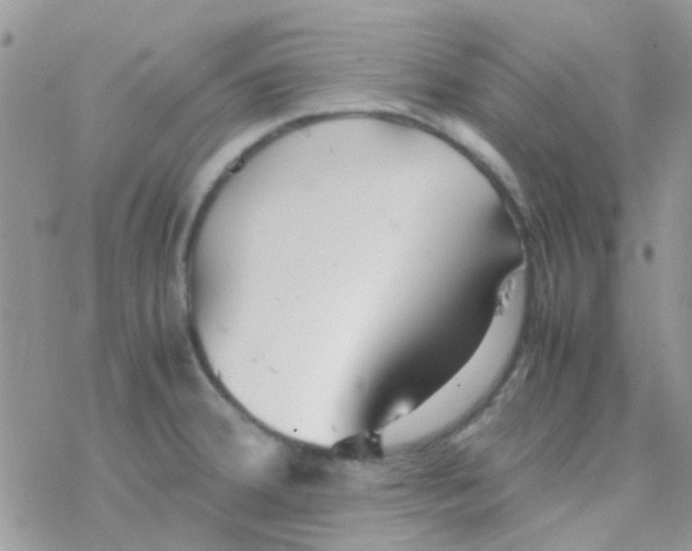 X0000077361380200611171912