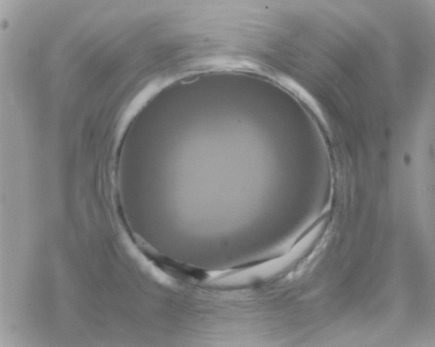 X0000077361381200611171912