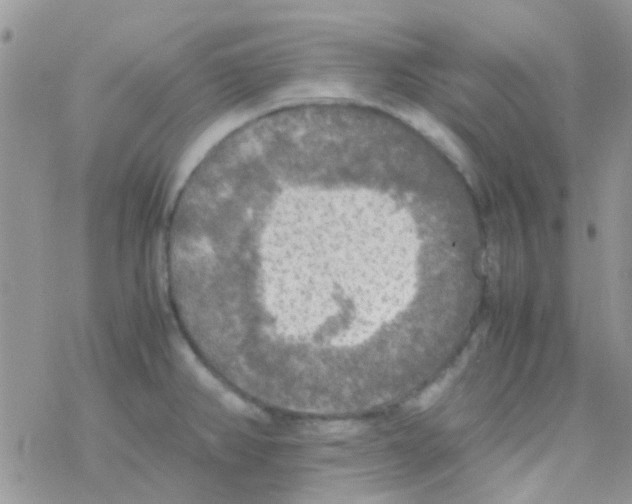 X0000077361382200611171912