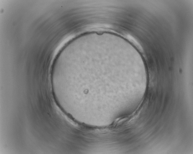 X0000077361384200611171912