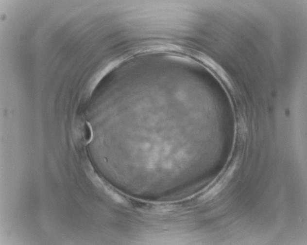 X0000077361385200611171912