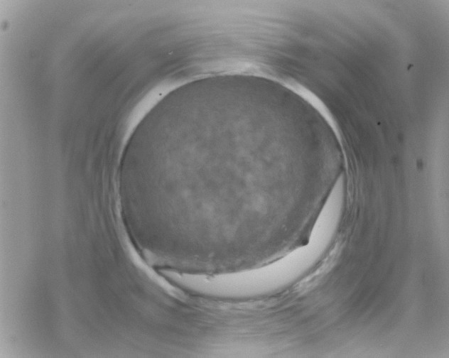 X0000077361389200611171912