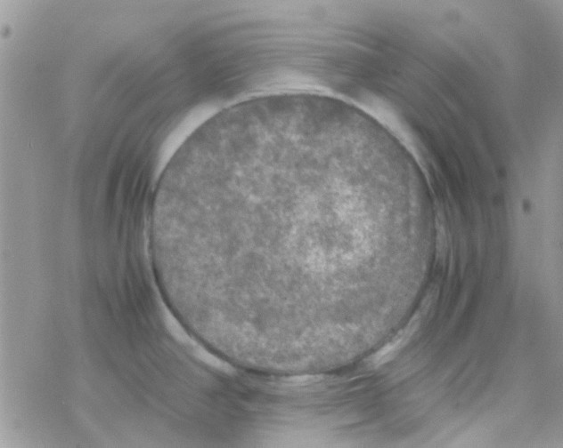 X0000077361390200611171912