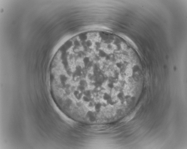 X0000077361391200611171912