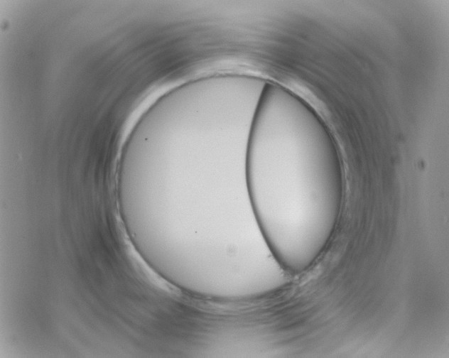 X0000077361392200611171912