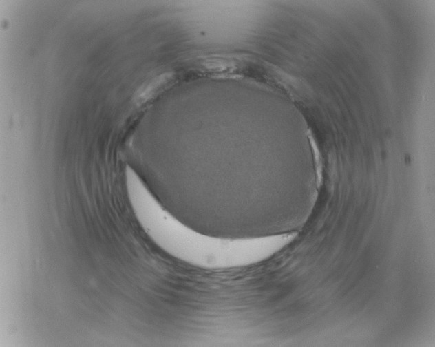 X0000077361394200611171911