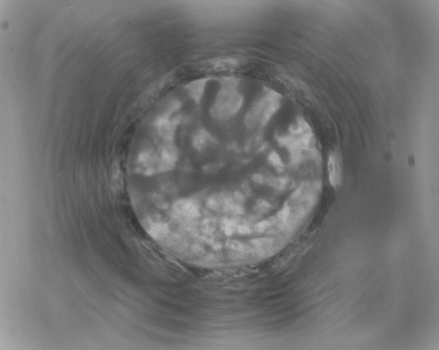 X0000077361395200611171911