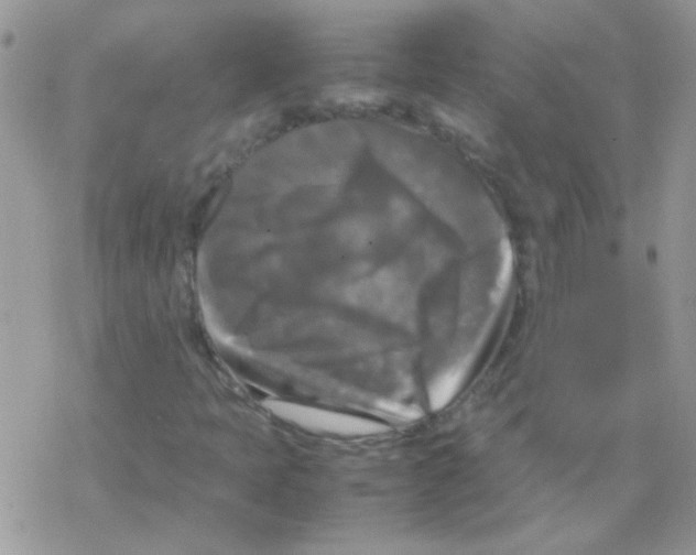 X0000077361397200611171911