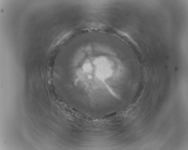 X0000077361399200611171911