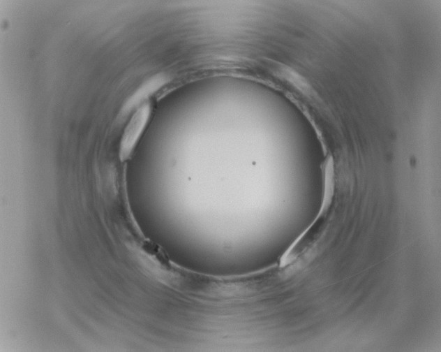 X0000077361402200611171911