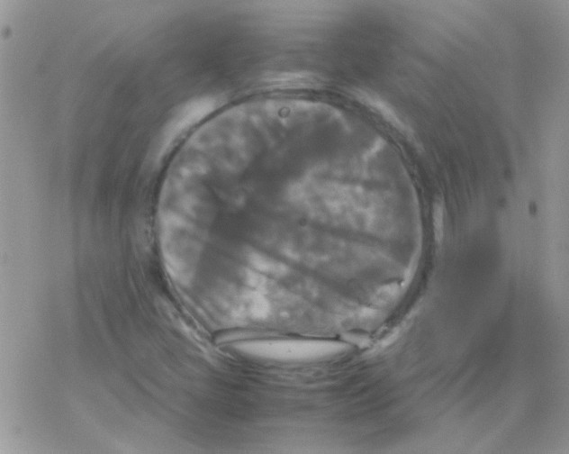 X0000077361405200611171911