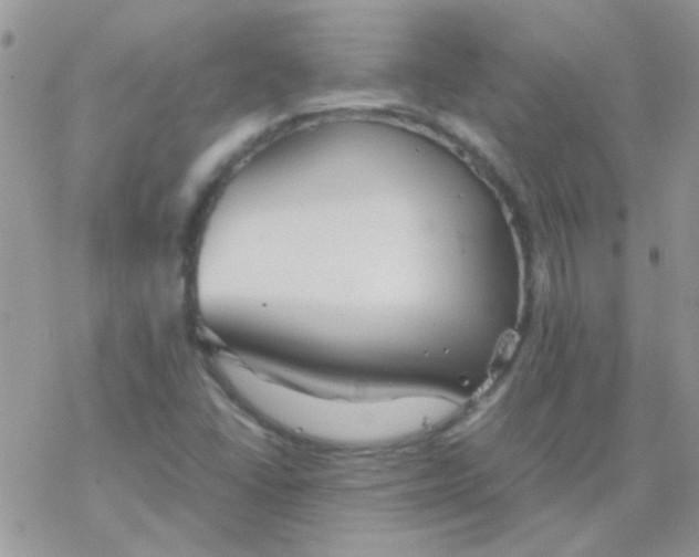 X0000077361406200611171911