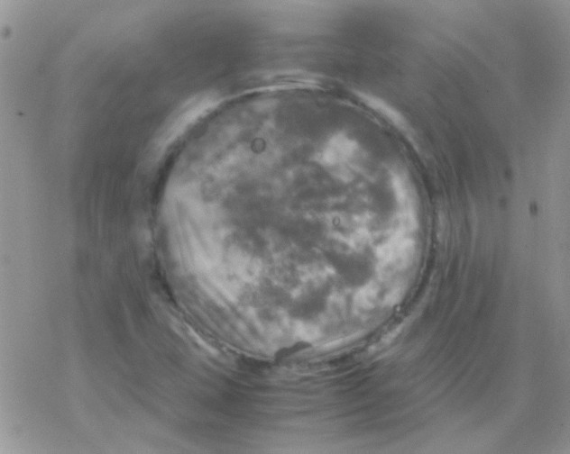 X0000077361407200611171911