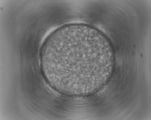 X0000077361408200611171912