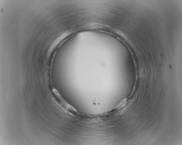 X0000077361410200611171912