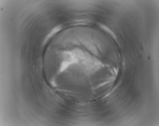 X0000077361411200611171912