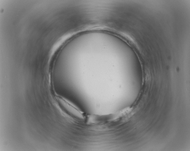 X0000077361414200611171912