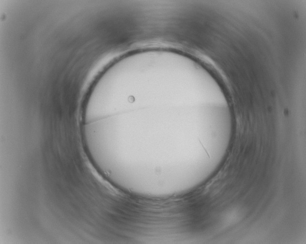 X0000077361416200611171912