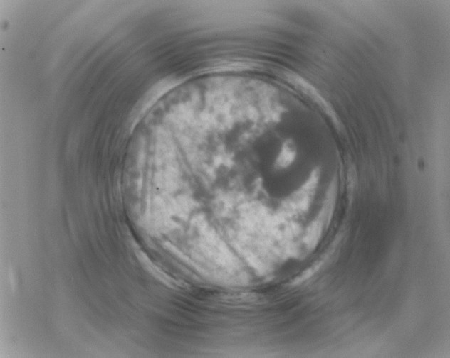 X0000077361417200611171912