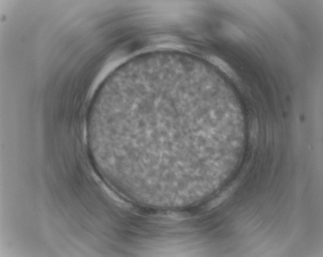 X0000077361420200611171912