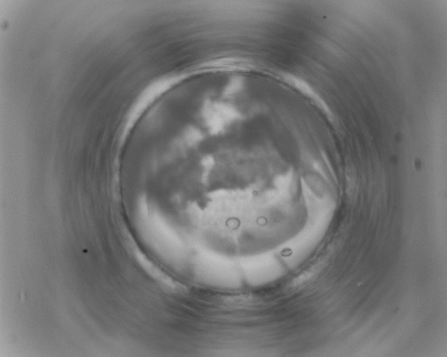 X0000077361421200611171912