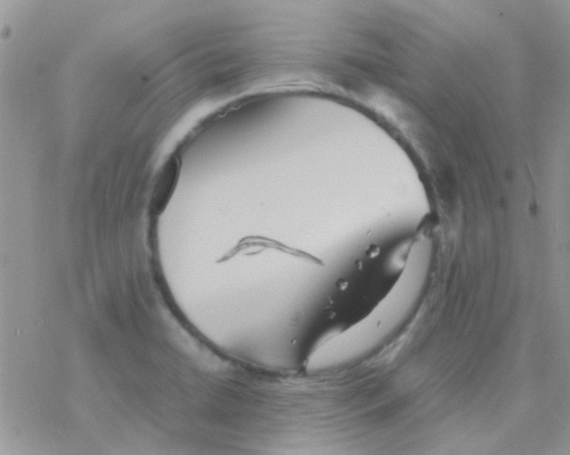 X0000077361422200611171912