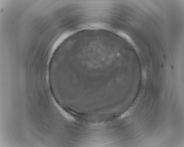 X0000077361424200611171912