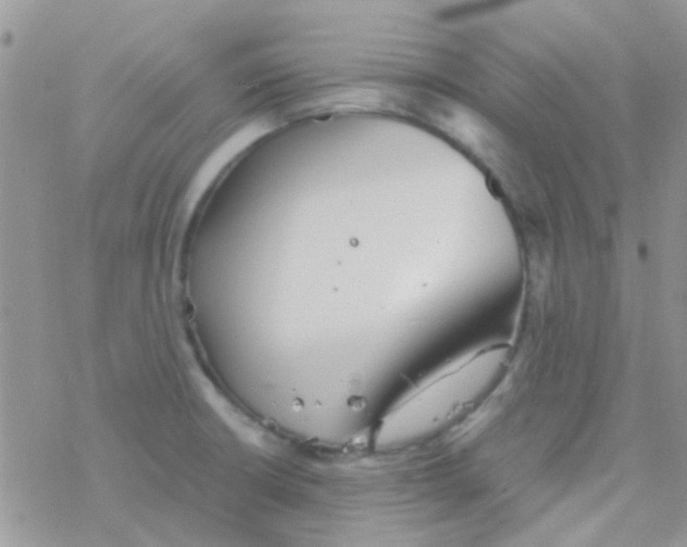 X0000077361426200611171912