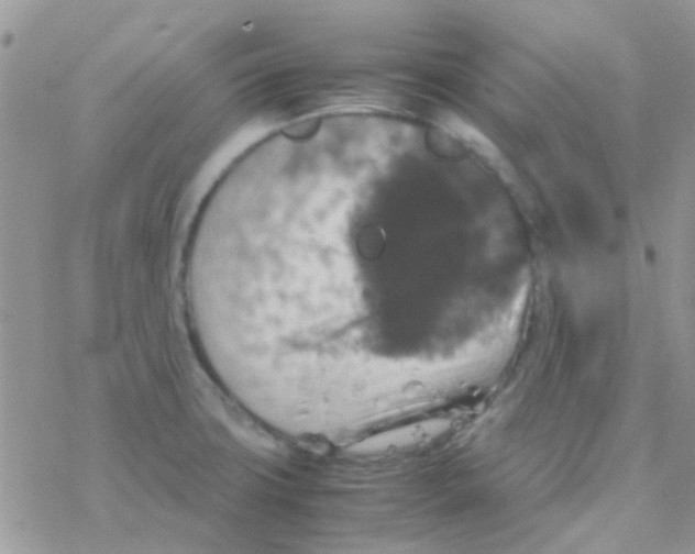 X0000077361427200611171912