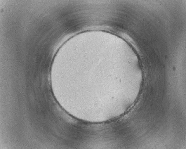 X0000077361428200611171912