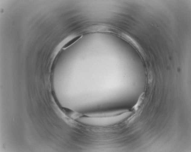 X0000077361434200611171912