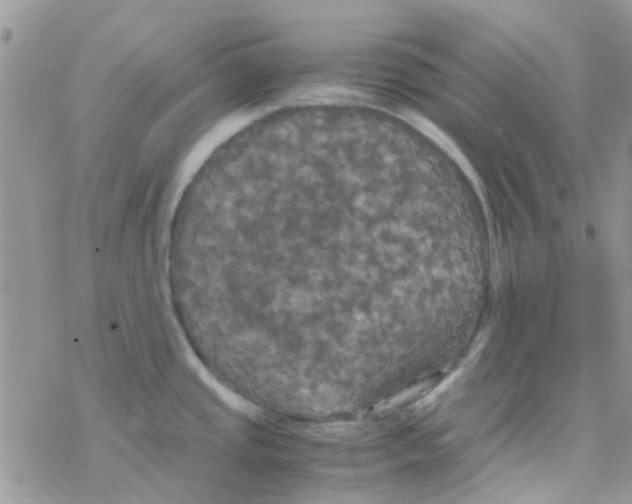 X0000077361437200611171912