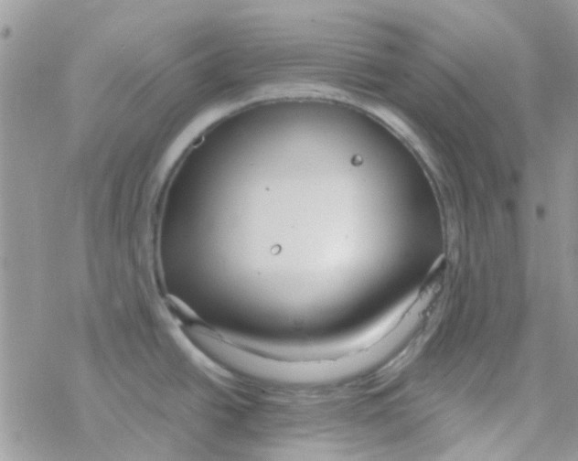 X0000077361438200611171912