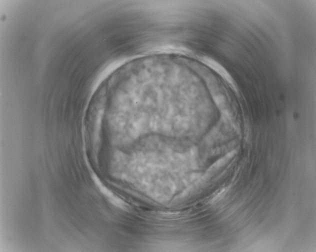 X0000077361439200611171912