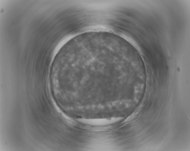 X0000077361440200611171912