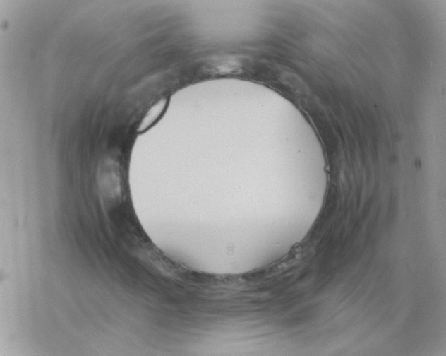 X0000077361442200611171911