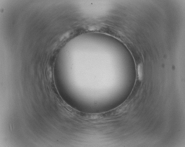 X0000077361443200611171911