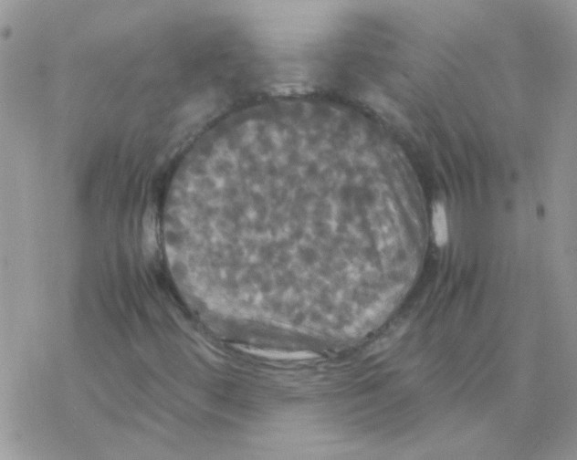 X0000077361444200611171911