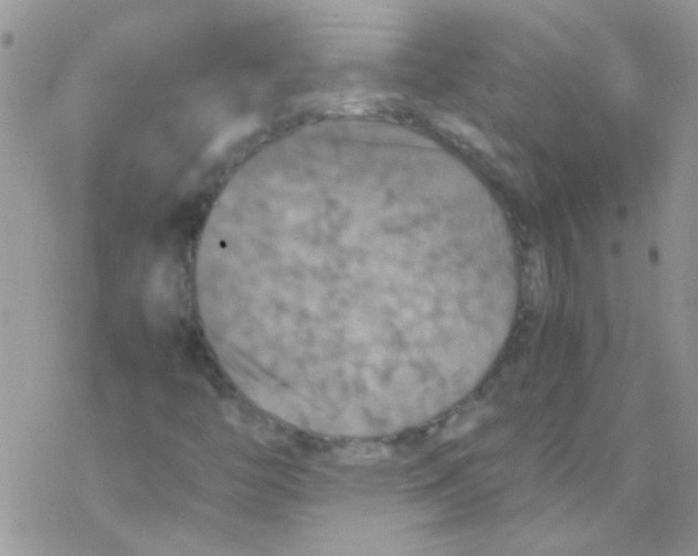 X0000077361446200611171911