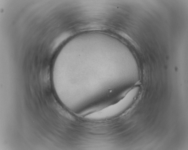 X0000077361450200611171911