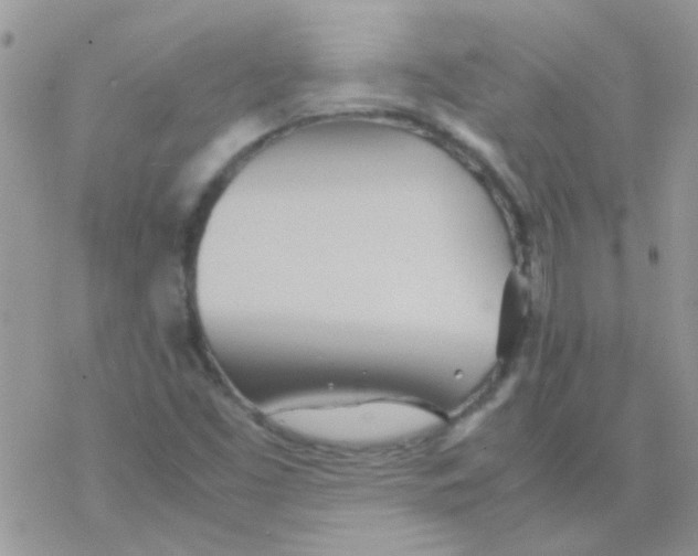 X0000077361453200611171911