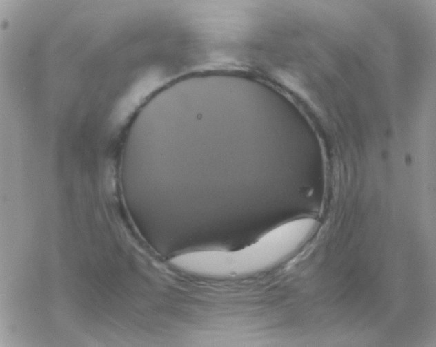 X0000077361455200611171911