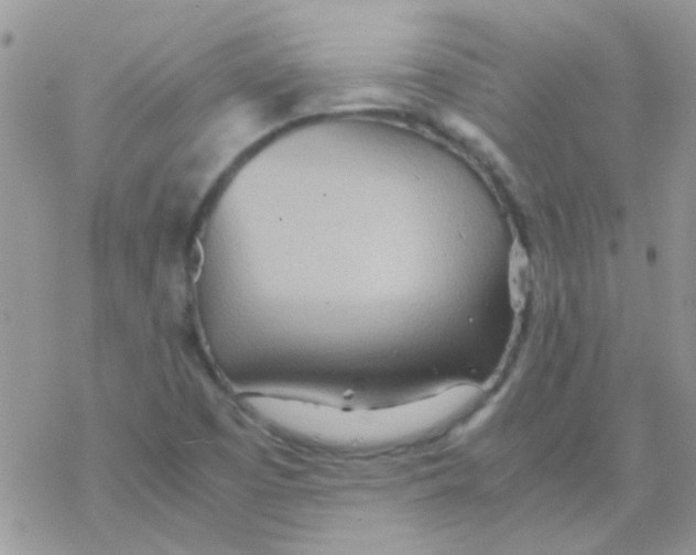 X0000077361457200611171911