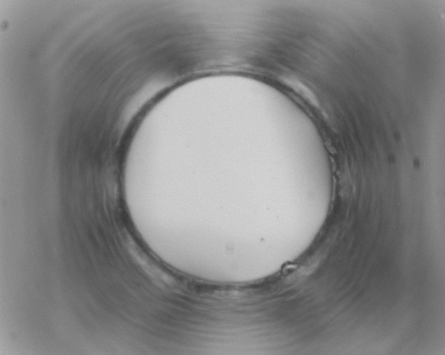 X0000077361458200611171911