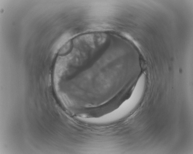 X0000077361459200611171911